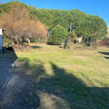 Petit Coin De Paradis En Camargue Entre Aigues Mortes Et Les Saintes Maries De La Mer, Animaux Bienvenus Feriehus Vauvert