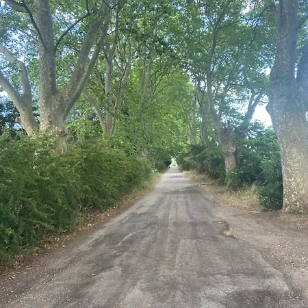 Petit Coin De Paradis En Camargue Entre Aigues Mortes Et Les Saintes Maries De La Mer, Animaux Bienvenus Feriehus