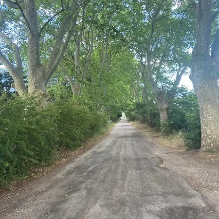 Petit Coin De Paradis En Camargue Entre Aigues Mortes Et Les Saintes Maries De La Mer, Animaux Bienvenus Holiday home