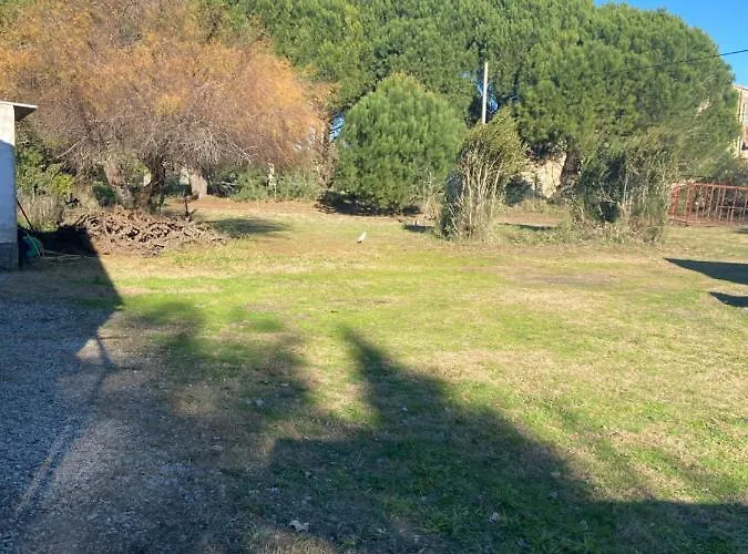Petit Coin De Paradis En Camargue Entre Aigues Mortes Et Les Saintes Maries De La Mer, Animaux Bienvenus Дом отдыха Вовер