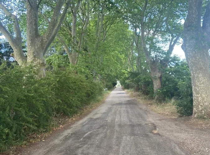 Petit Coin De Paradis En Camargue Entre Aigues Mortes Et Les Saintes Maries De La Mer, Animaux Bienvenus Дом отдыха