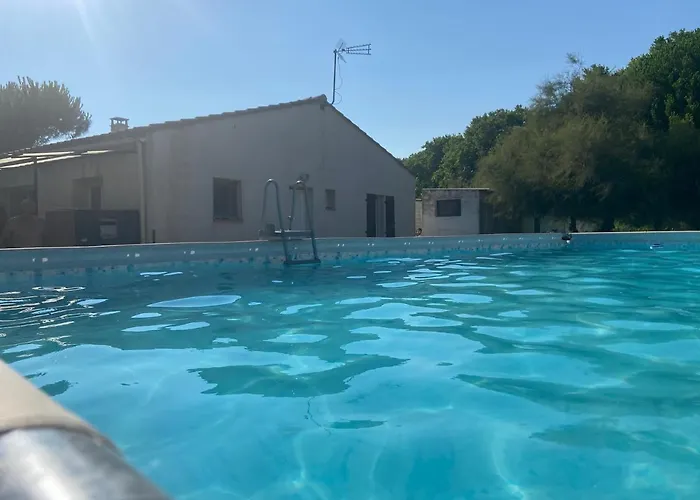 Petit Coin De Paradis En Camargue Entre Aigues Mortes Et Les Saintes Maries De La Mer, Animaux Bienvenus Вовер